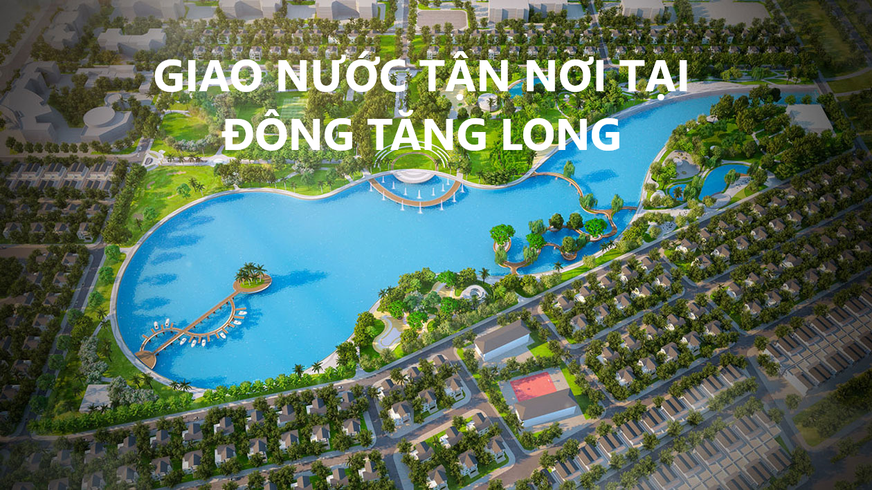 dong-tang-long.jpg